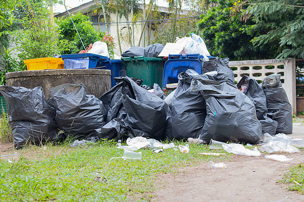 Best Office Junk Removal  in Steele, AL